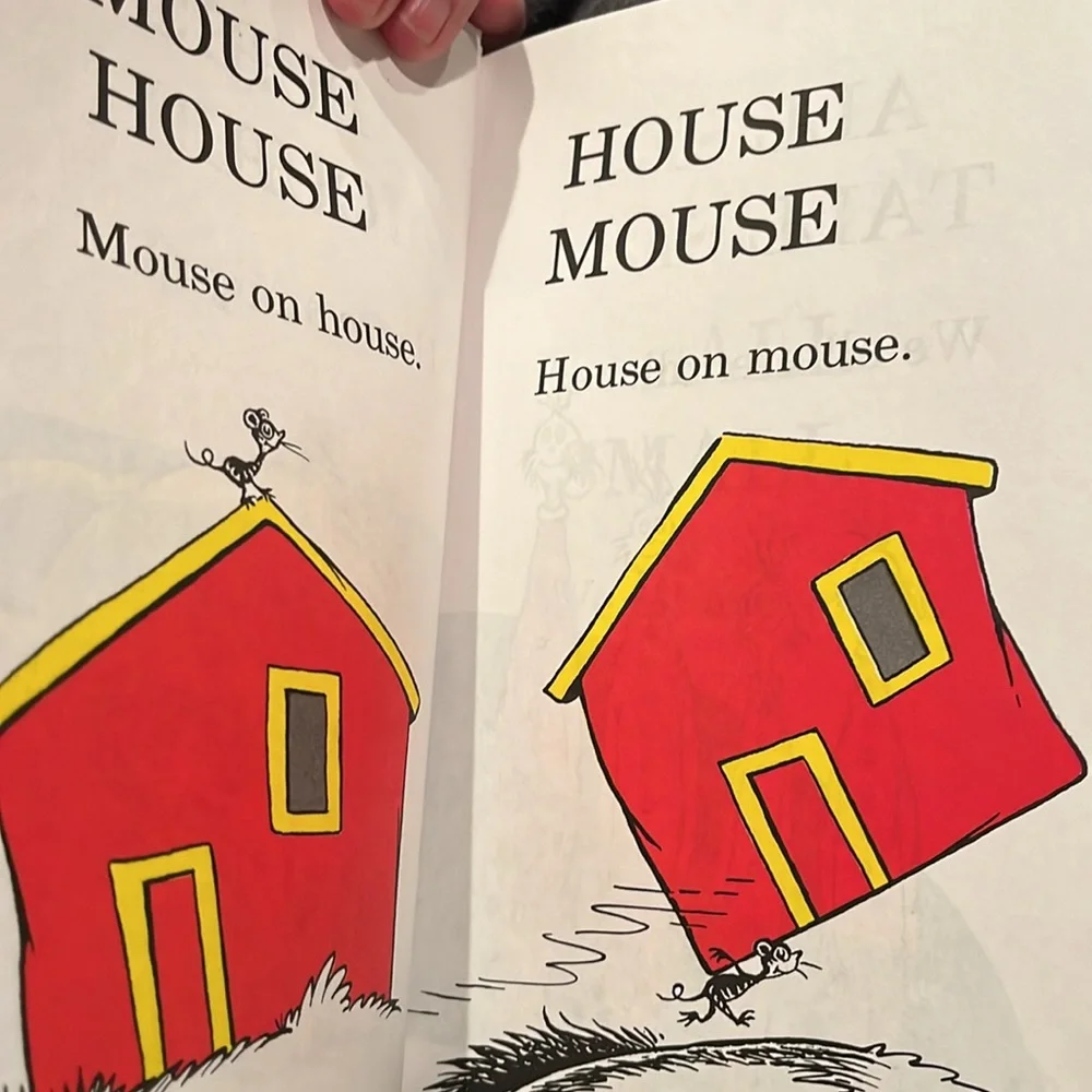 Dr. Seuss bundle another